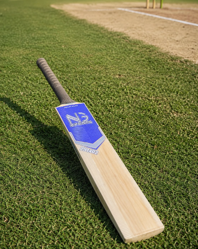 NG Sports Player Edition English Willow Bat – Built for Club Level Performance